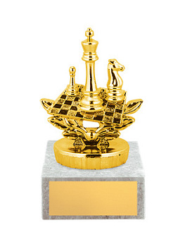 Приз тематический «Шахматы» - PS980-P031-G
