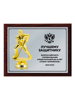 Плакетка подарочная - PL234-Z